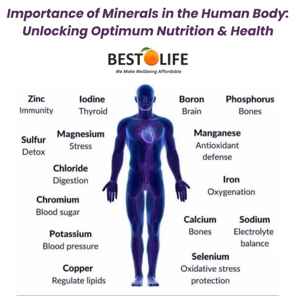Importance of Minerals in the Human Body: Unlocking Optimum Nutrition & Health
